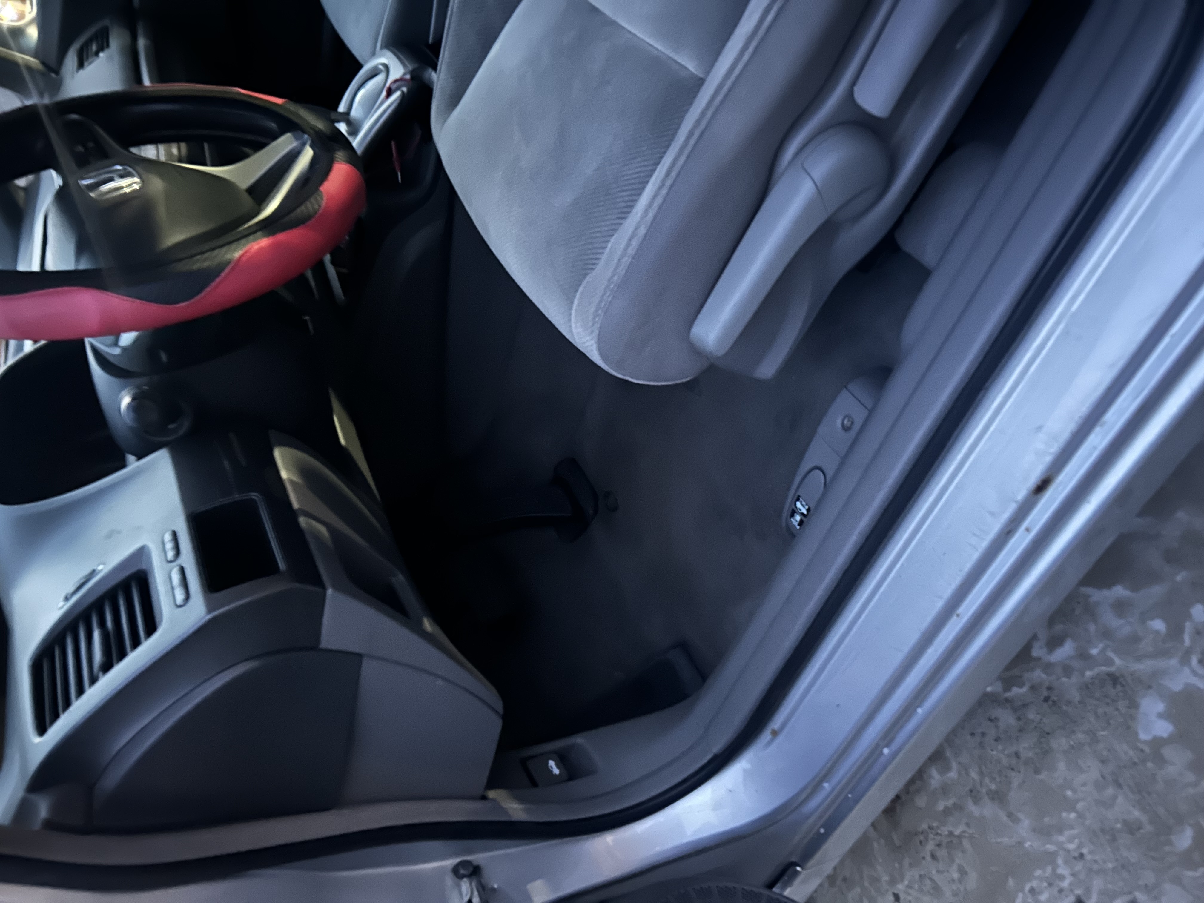 Carpet after extraction 2