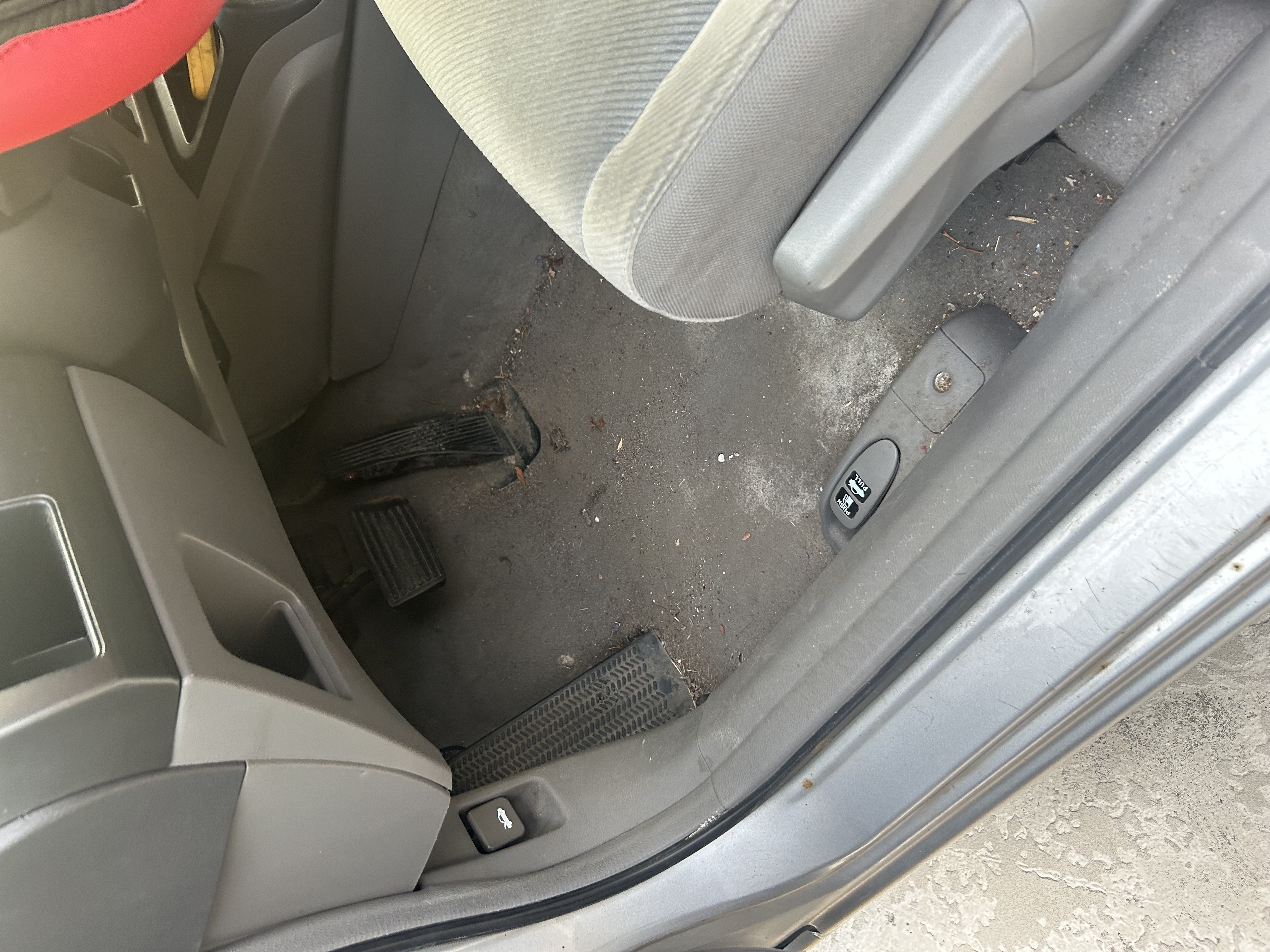 Carpet before extraction 2