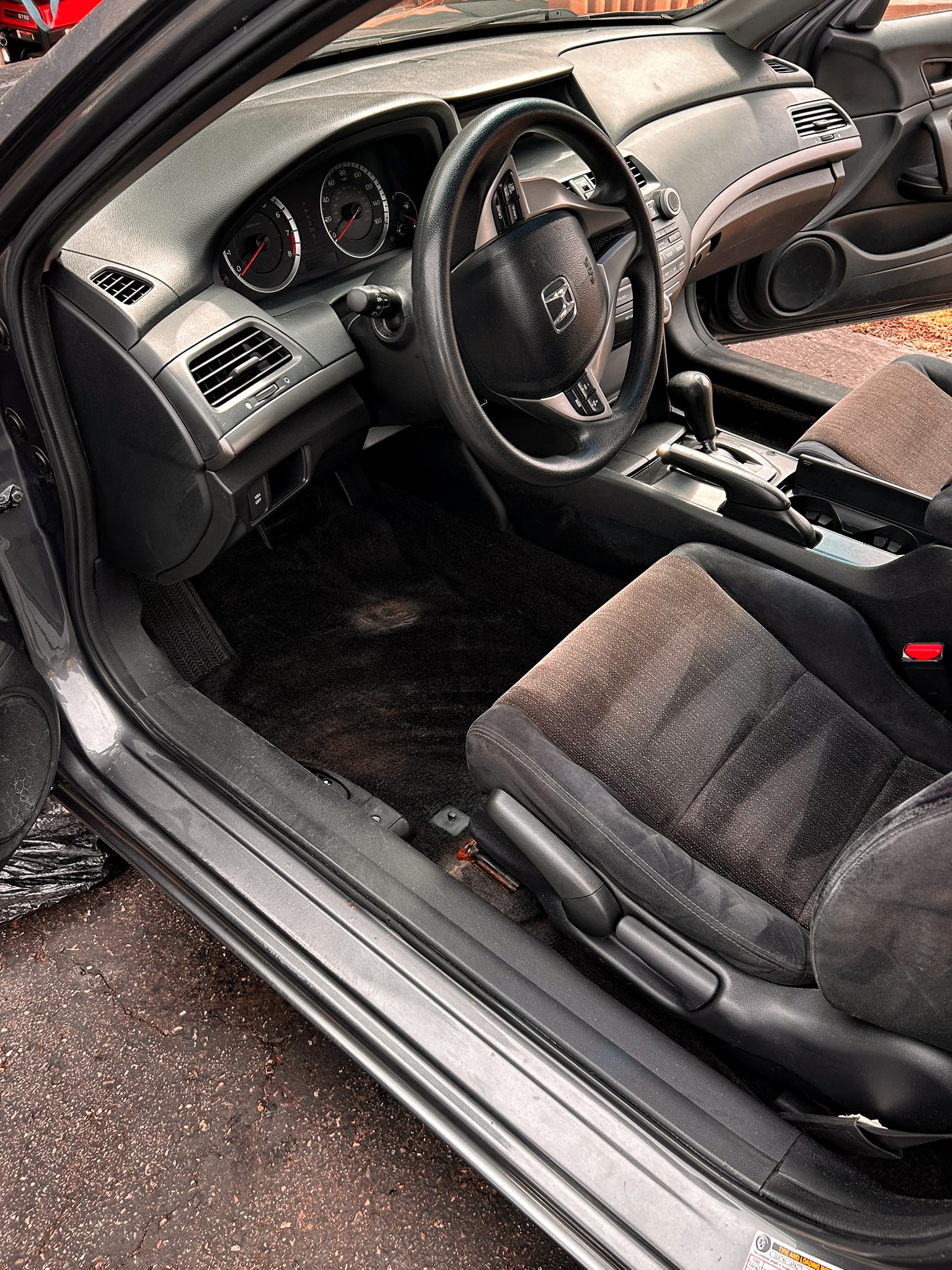 Carpet after extraction