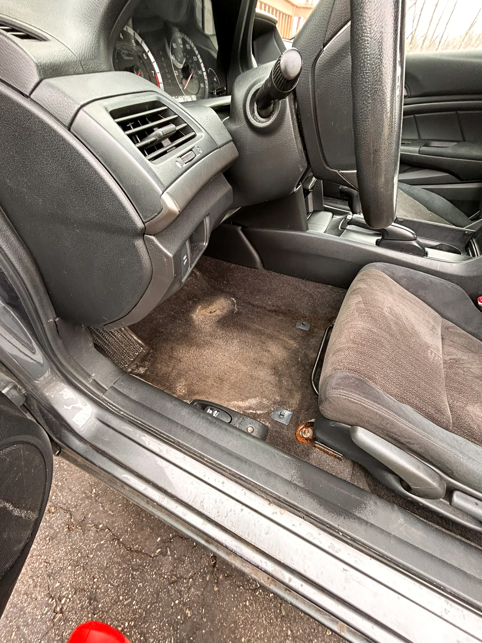 Carpet before extraction