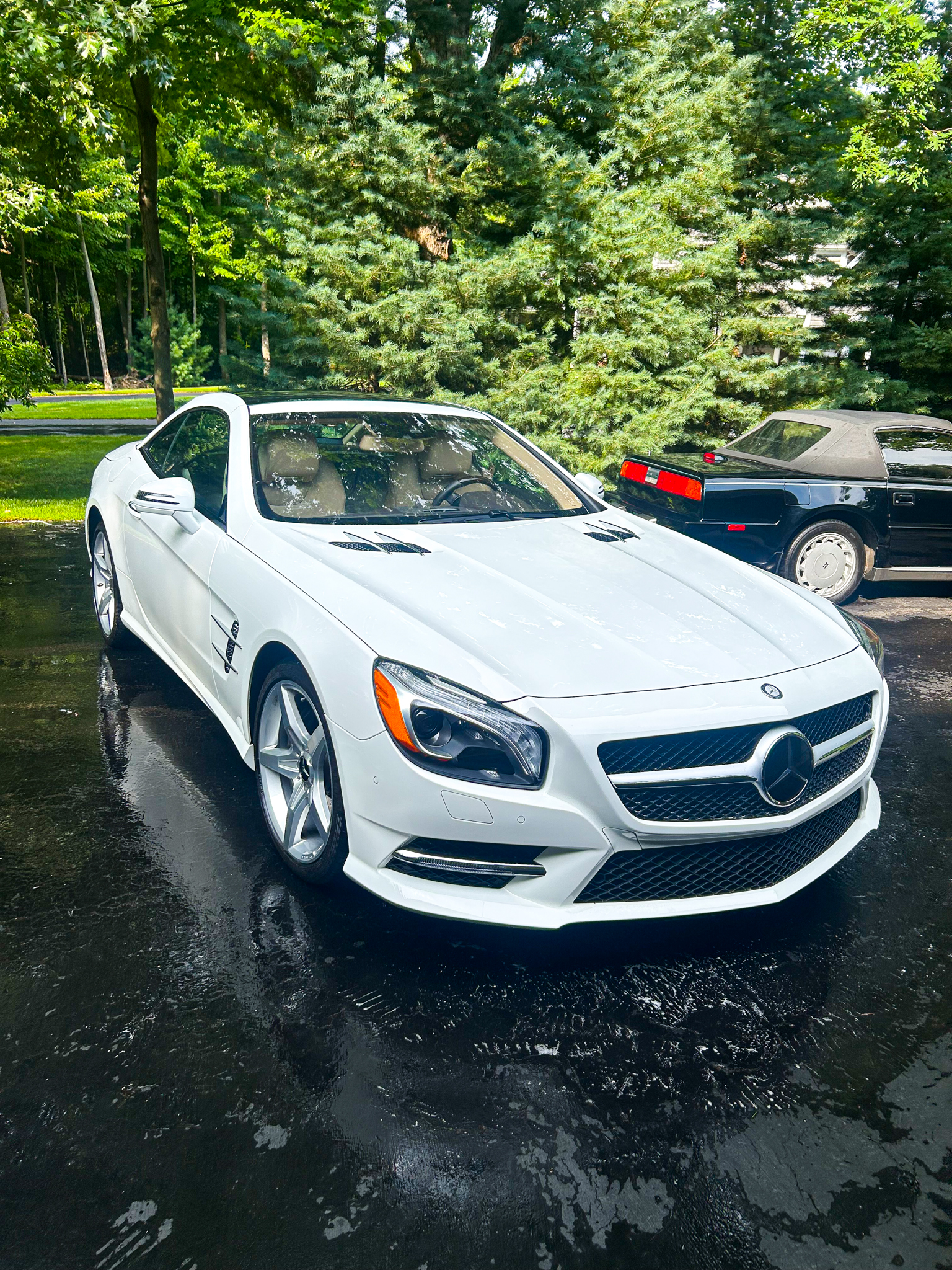 Mercedes-Benz SL-Class exterior detail — Commerce Township MI