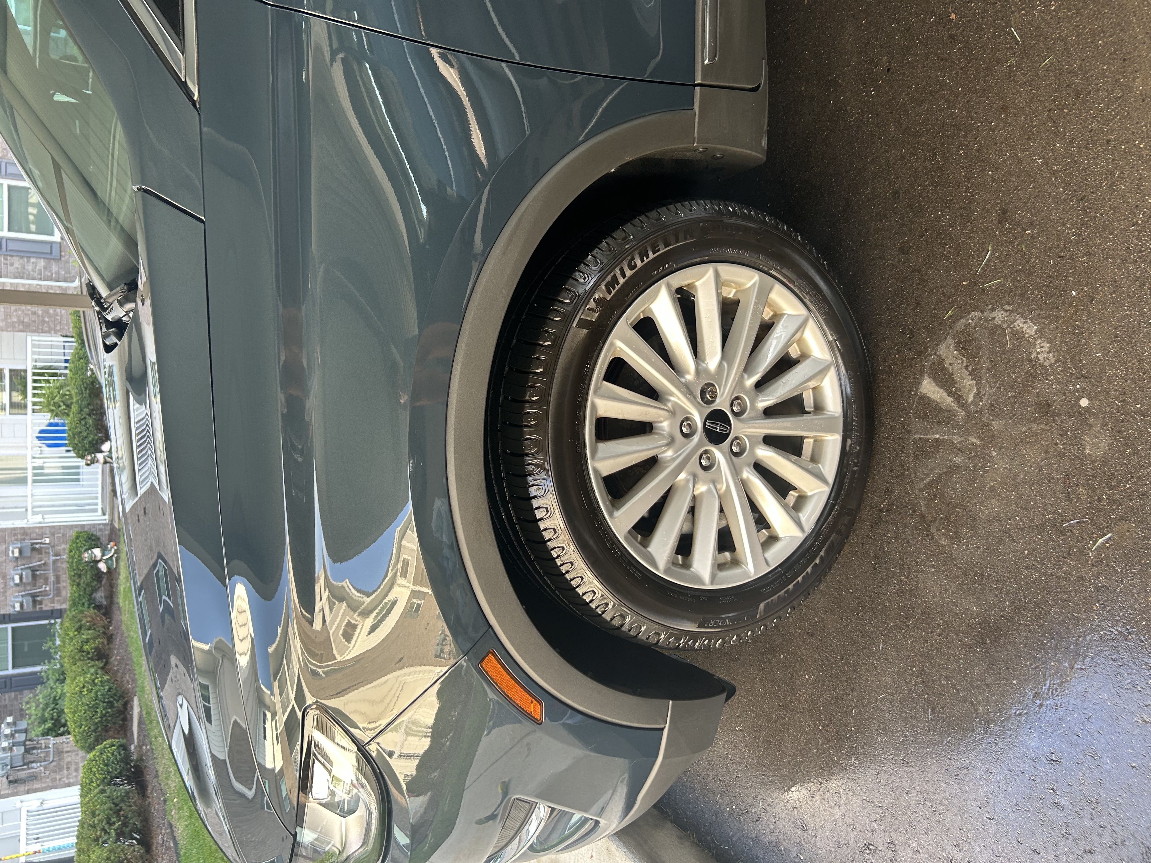 Tire dressing applied — mobile detailing Oakland County